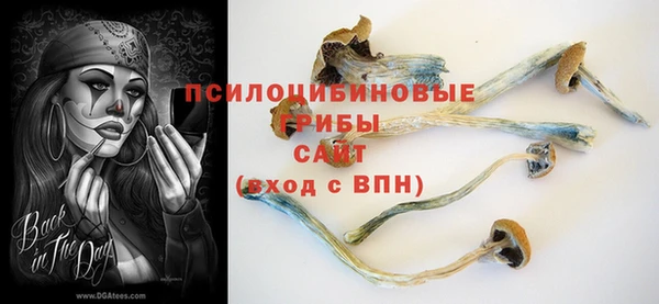 хмурый Алексин
