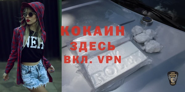 хмурый Алексин
