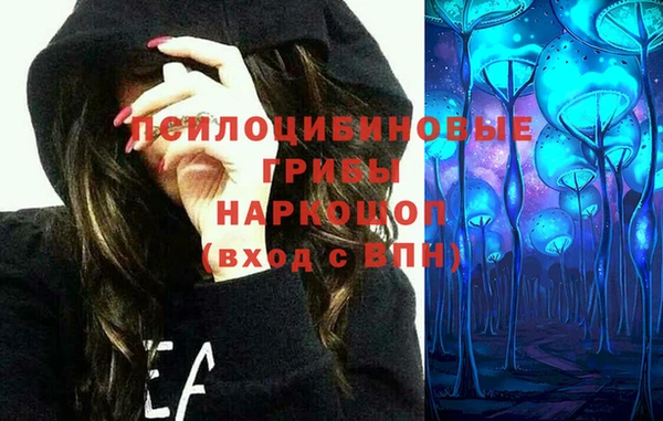 хмурый Алексин