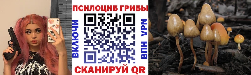 Галлюциногенные грибы мицелий Сольвычегодск